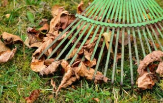 herbst gartenarbeit laub entfernen garten