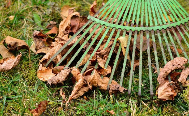 herbst gartenarbeit laub entfernen garten